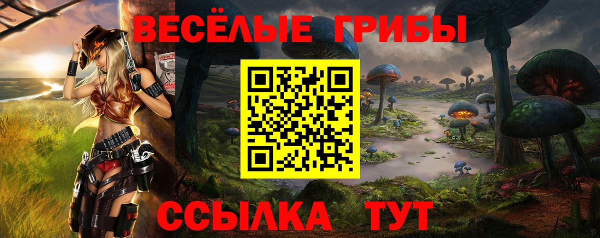 Меф кристаллы  Бор  Конопля  NBOMe  Вход с VPN  Наркошоп  ЭКСТАЗИ  КОКАИН 